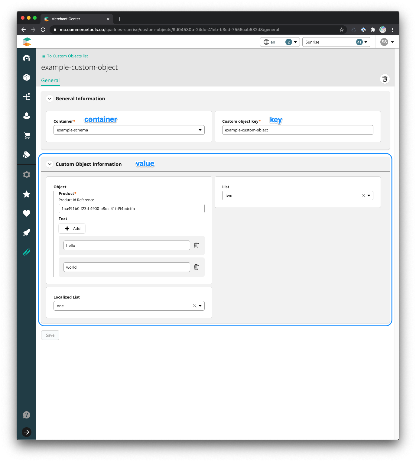 Custom Object Data Model